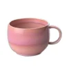 Villeroy & Boch Kaffeetasse 0,19 L Perlemor Coral Schön 8